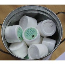 Mint Lip Balm
